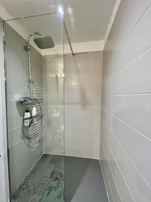 Appartement Confort - Carcassonne Centre Kültér fotó